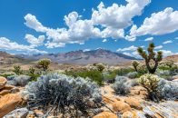 DSO Practice Listings