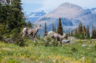 Doctor-To-Doctor Practice Listings